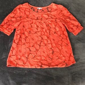 Super cute lace blouse